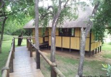 8 Bed Hlatikulu Bush Lodge Imfolozi Game Reserve walway