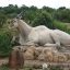 Didima Camp Eland