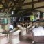 Bar area