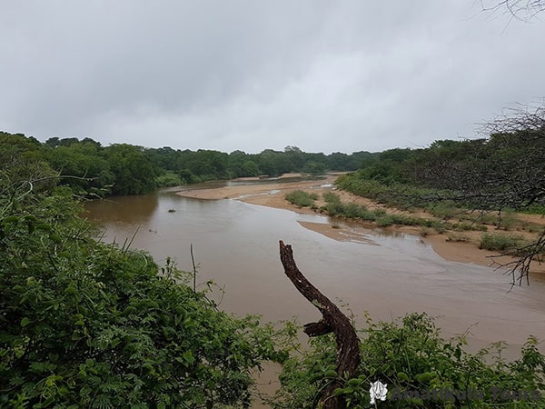River view