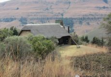 Thendele 6 Bed Lodge Lower Camp view